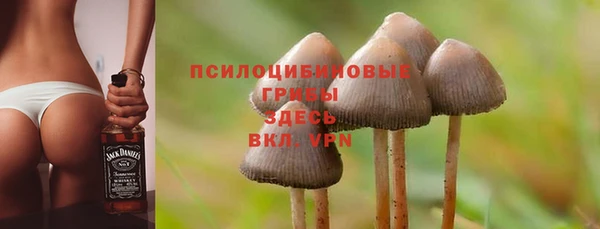 дживик Арсеньев